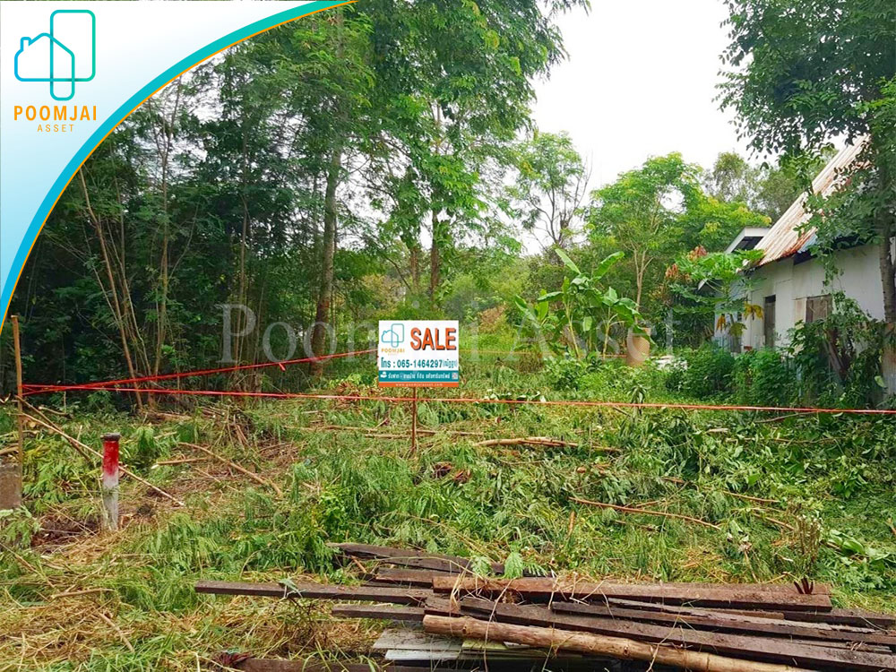 ที่ดินเปล่า ซอยคลองหกตะวันออก 98/1  ถ.รังสิต-นครนายก คลองหลวง ปทุมธานี